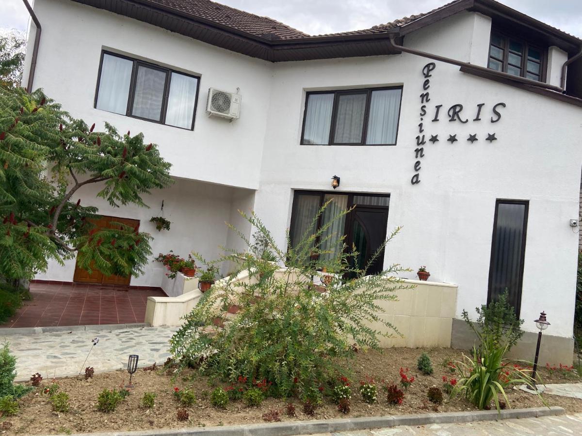 Pensiunea Iris Turcineşti Esterno foto
